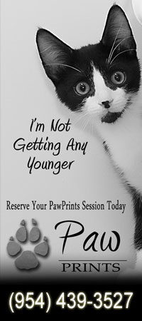 Paw Prints